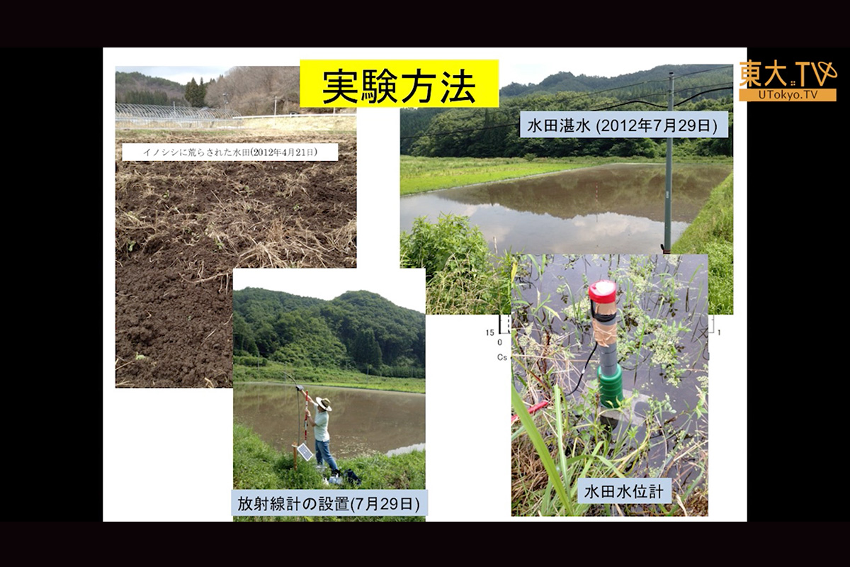 飯舘村の水田における農業土木的土壌除染法の試み