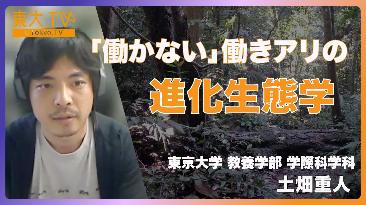 「働かない」働きアリの進化生態学